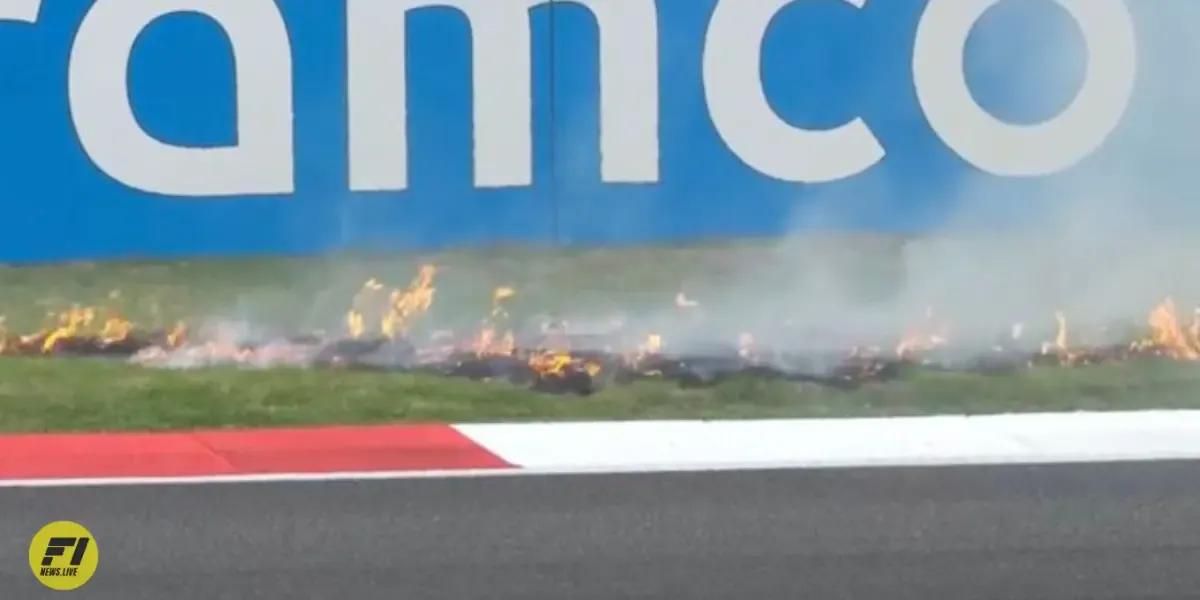 FIA Investigation into bizarre Shanghai F1 grass fires  continues